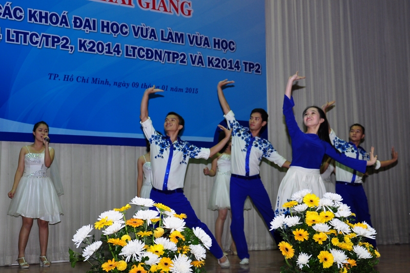 cá cược thể thao hul city